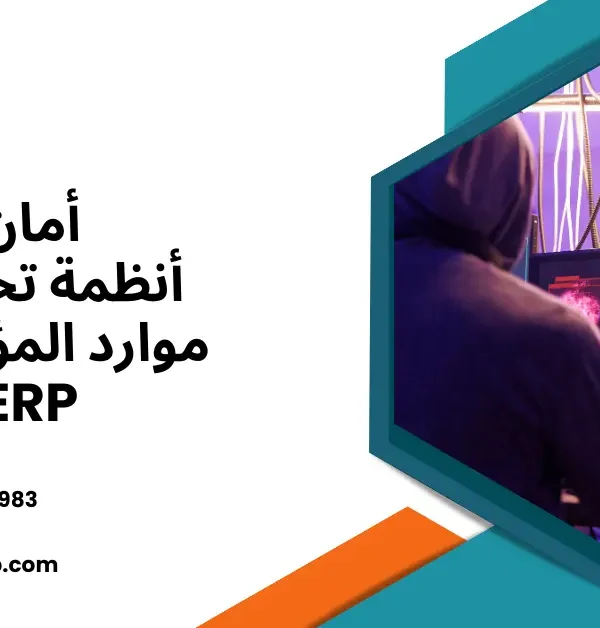أمان أنظمة ERP