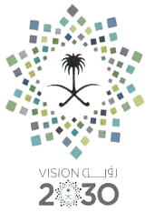 رؤية 20230