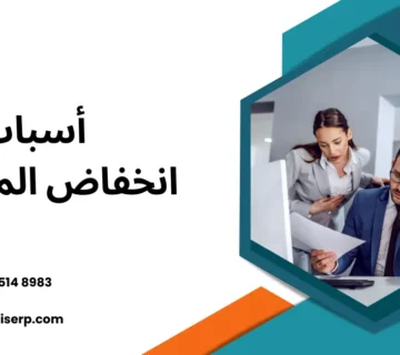 أسباب انخفاض المبيعات